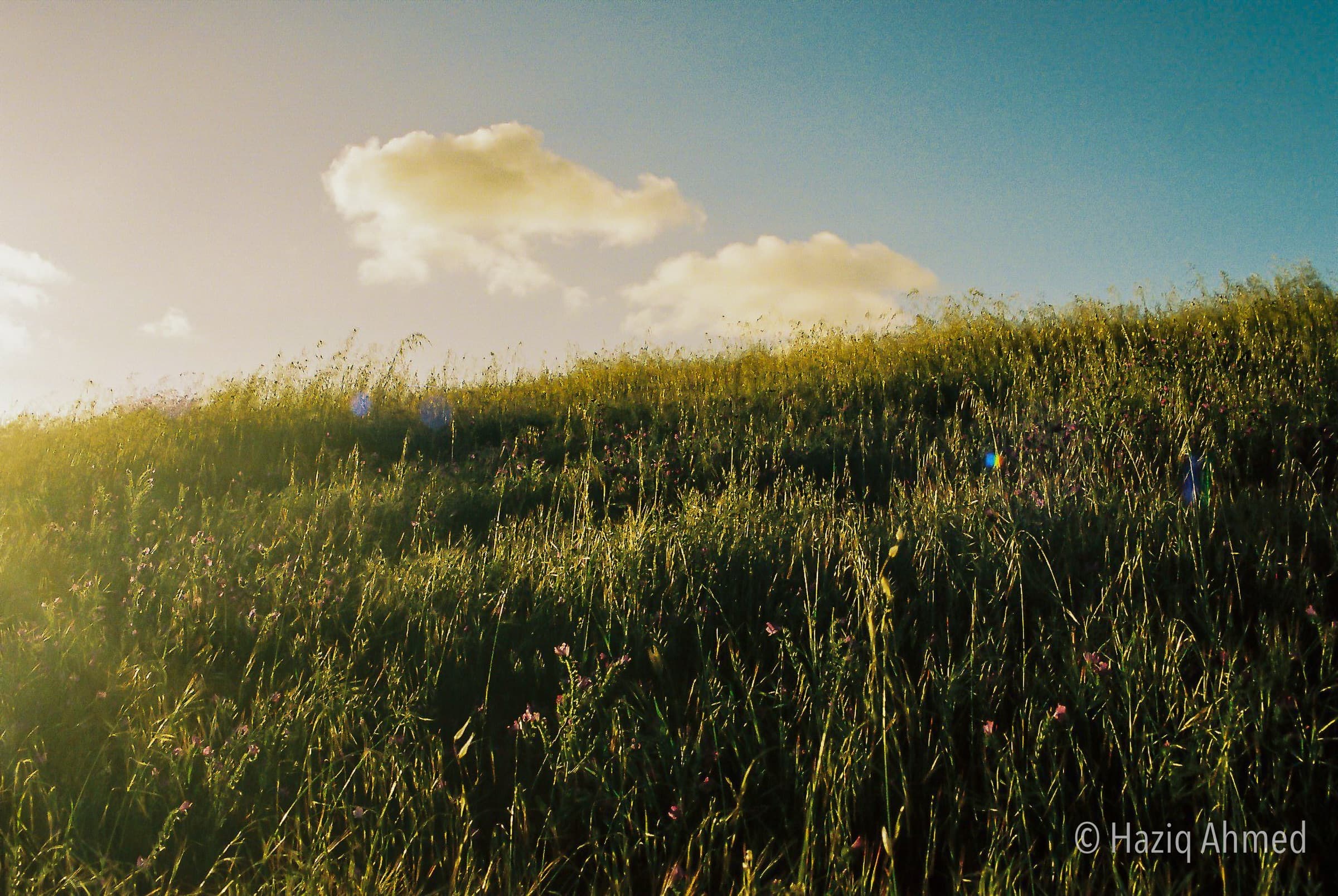 Australian Landscape 02