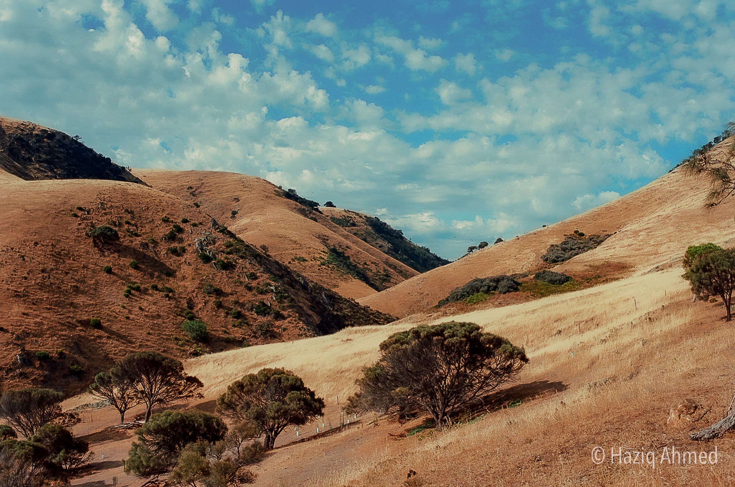Australian Landscape 07