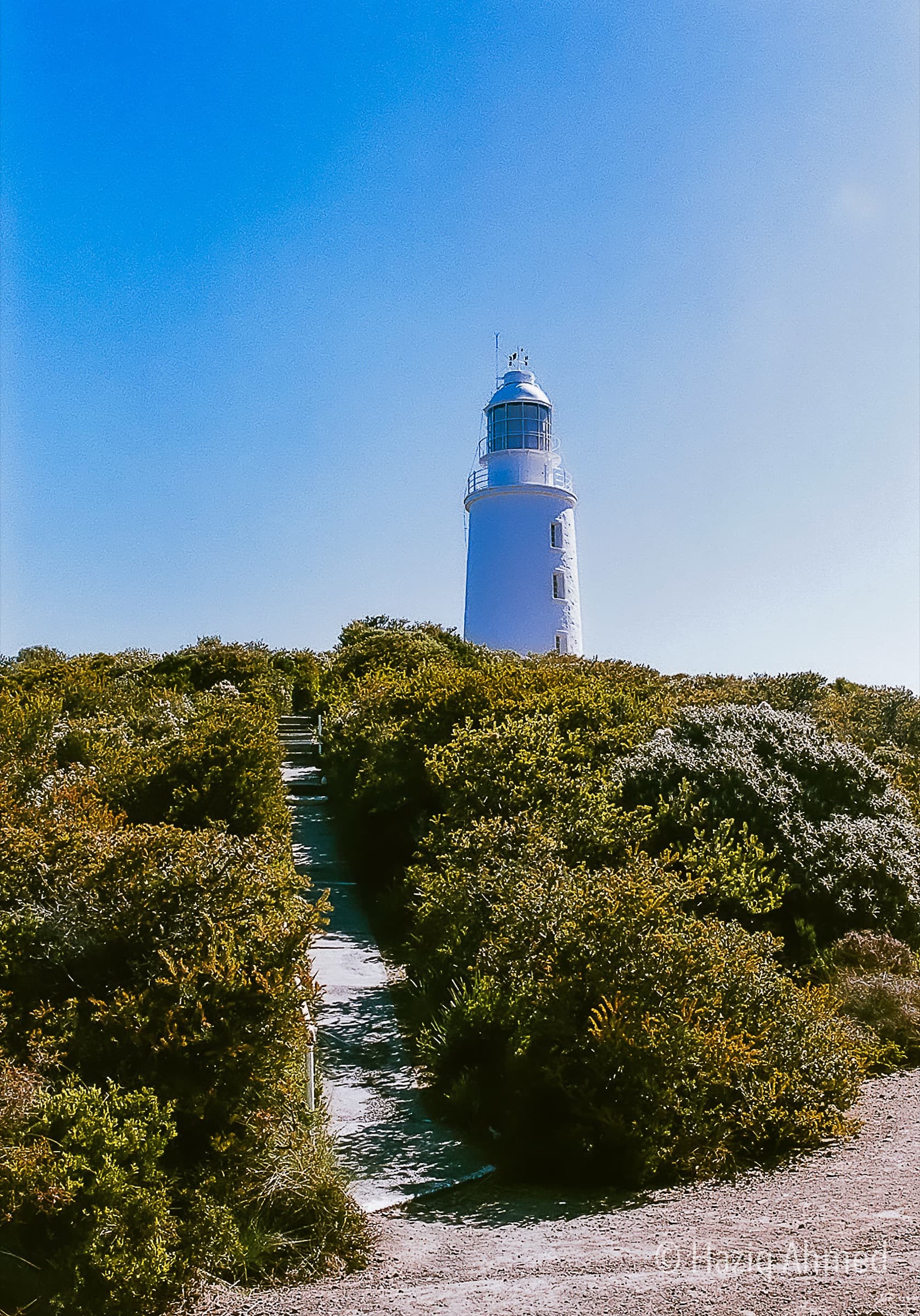 Australian Landscape 10