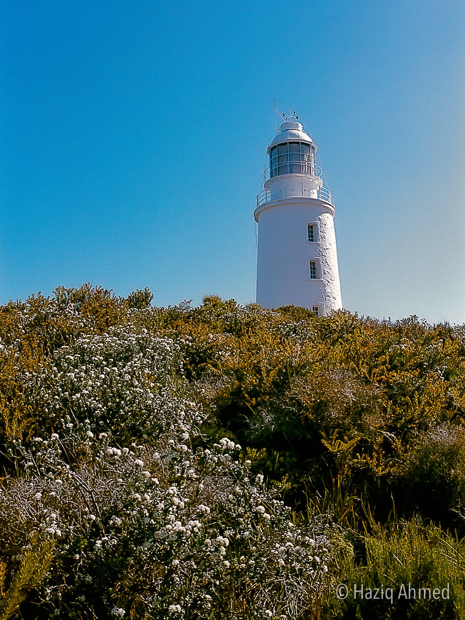 Australian Landscape 14