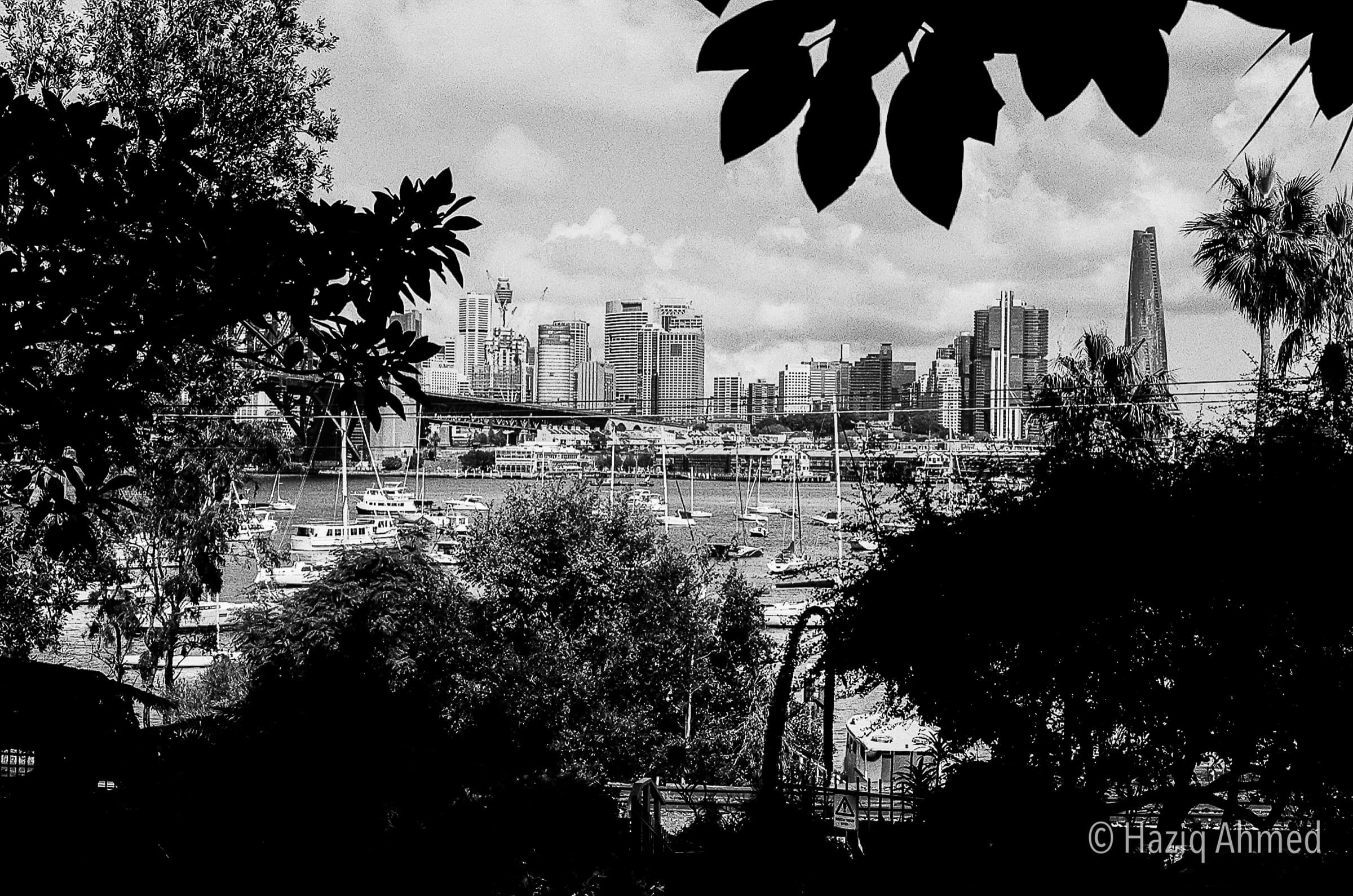 Black & White 07