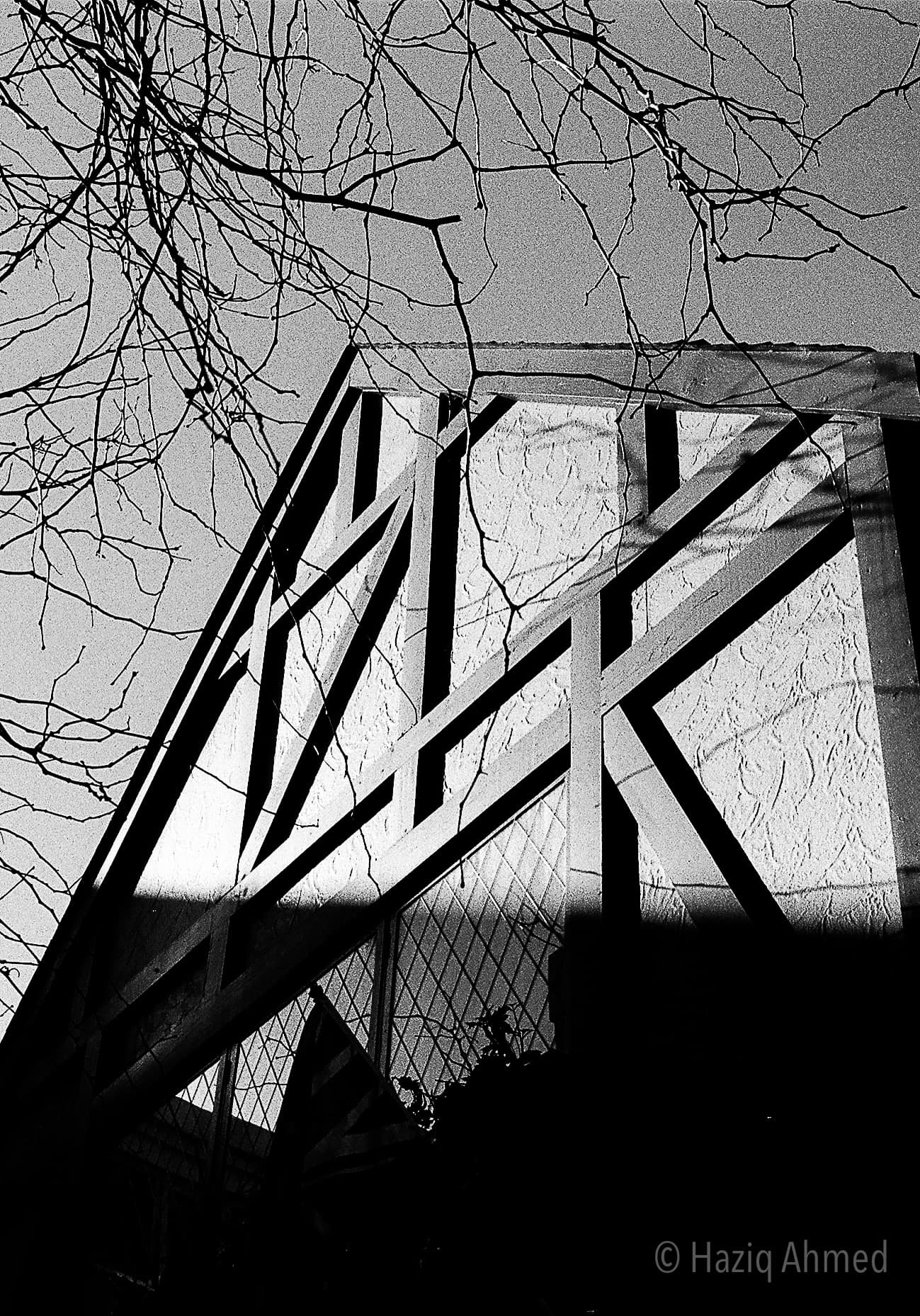 Black & White 11